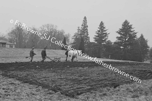 FIRST PLOUGHING OF GARDEN